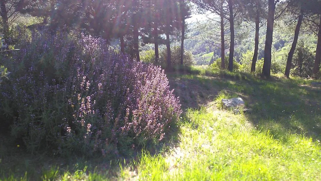 Country house Agriturismo Il Gelso Pomaia