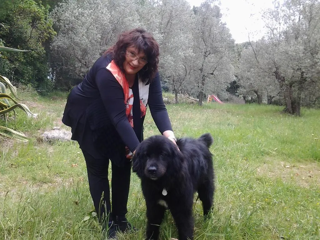 Agriturismo Il Gelso Pomaia 0*,