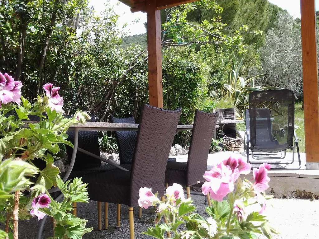 Agriturismo Il Gelso Pomaia 0*,