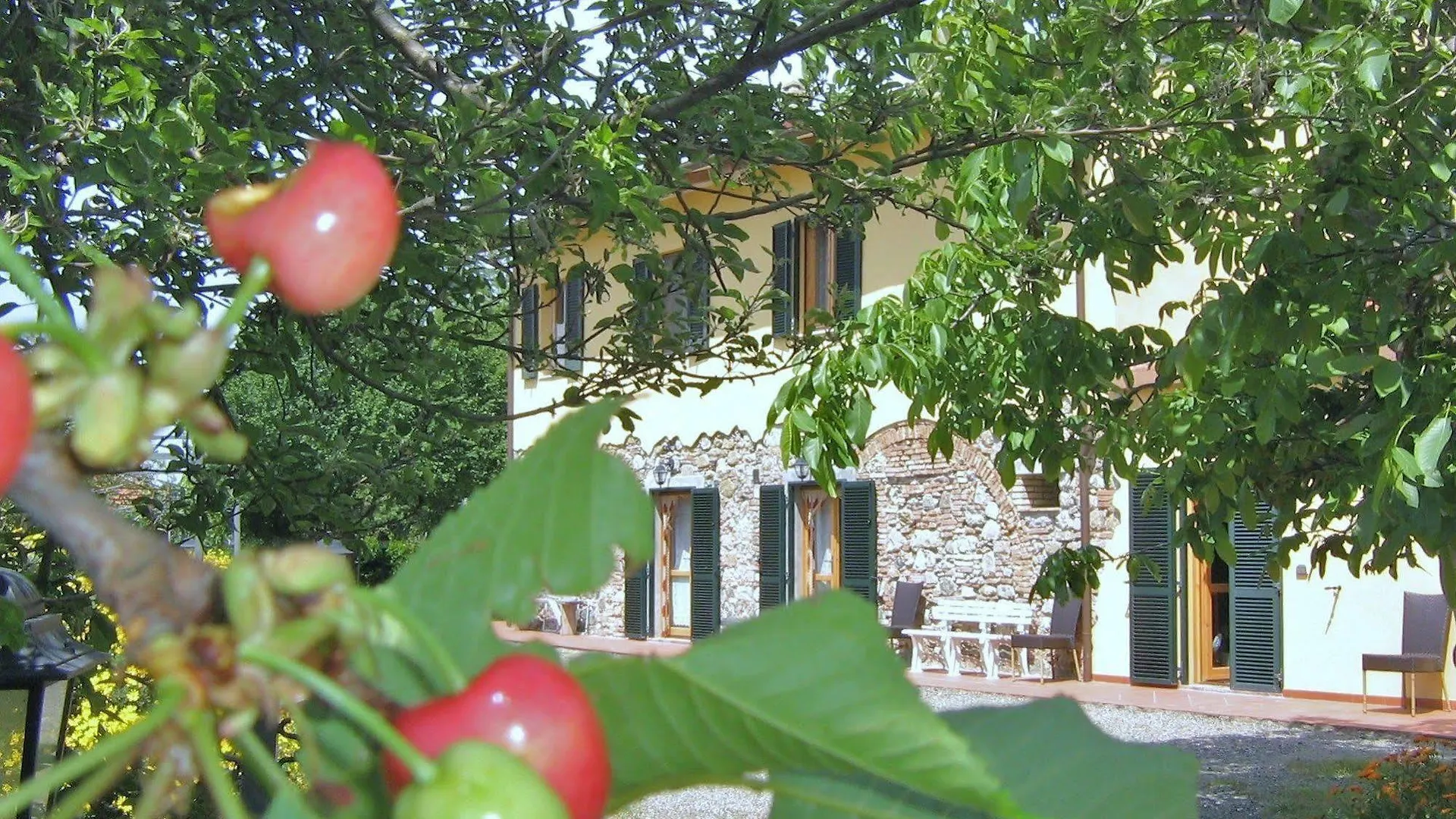 Agriturismo Il Gelso Pomaia 0*,  Italy
